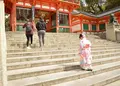八坂神社の写真_423318