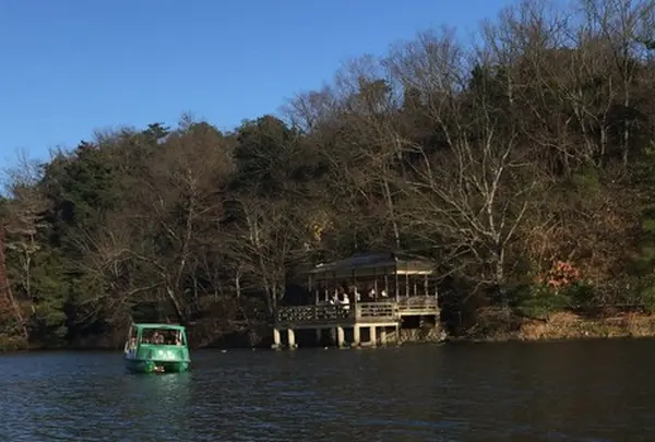 宝ヶ池公園の写真・動画_image_108840