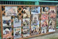 帯広動物園の写真_437235
