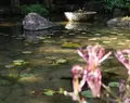 アサヒビール大山崎山荘美術館の写真_99982
