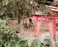 葛飾柴又寅さん記念館の写真_45711