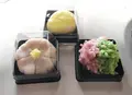 七條甘春堂 本店の写真_422178