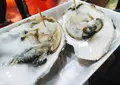 焼津さかなセンターの写真_268757