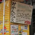 松山城の写真_135233