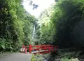洒水の滝の写真_192673
