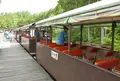 赤沢自然休養林の写真_41491