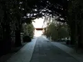 吉祥寺の写真_101293