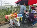 大甲鎮瀾宮の写真_609099