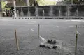 伊勢神宮外宮（豊受大神宮）の写真_82476
