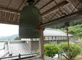 龍光寺（第４１番札所）の写真_46601