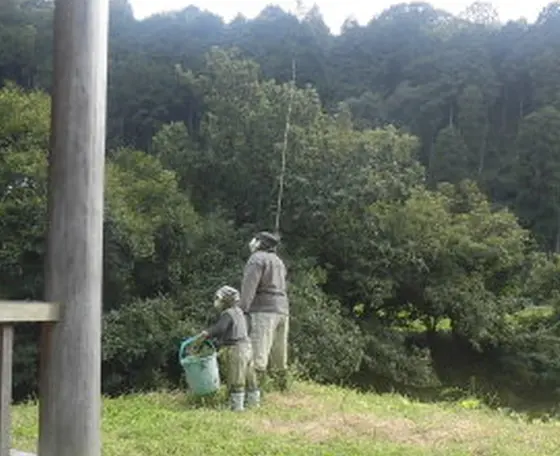 釣りを楽しむ、かかし