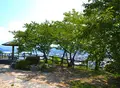 王子山公園の写真_89852