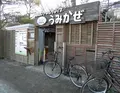 うみかぜ公園の写真_67880