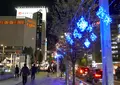 納屋橋の写真_53278