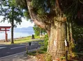 御座石神社の写真_671933