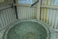 白菊水の写真_83395