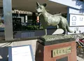 中日ビル中部日本ビルディング（株）の写真_50338
