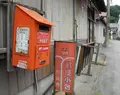 医王寺の写真_26496