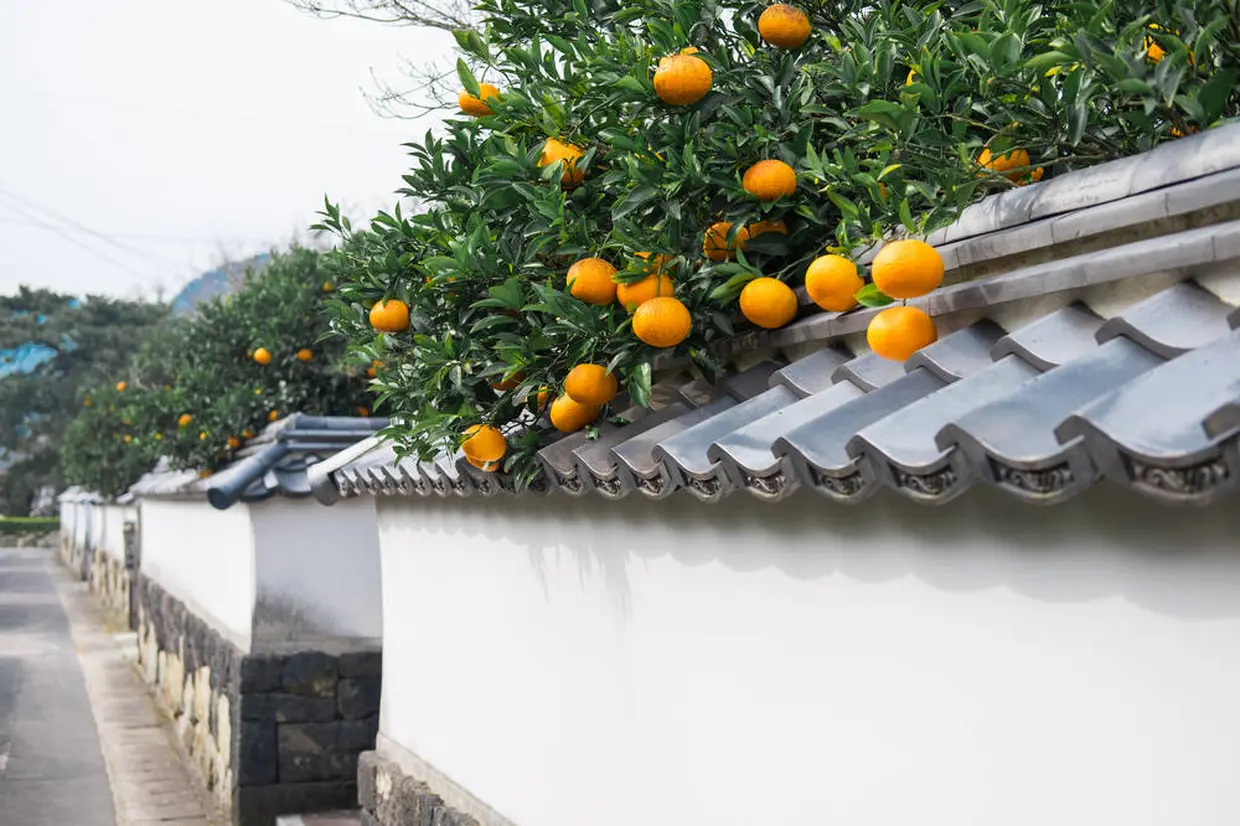 萩城下町