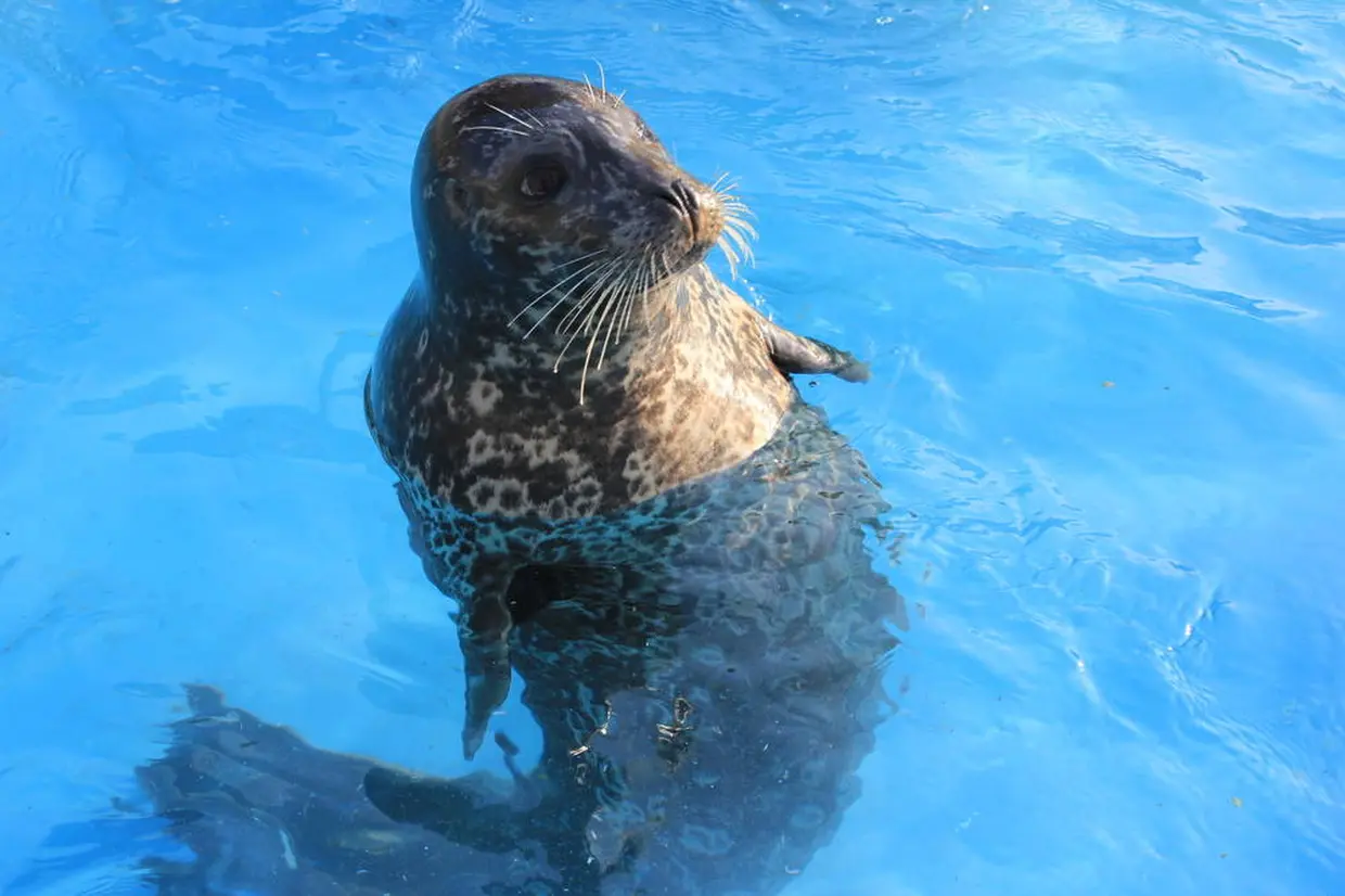 おたる水族館