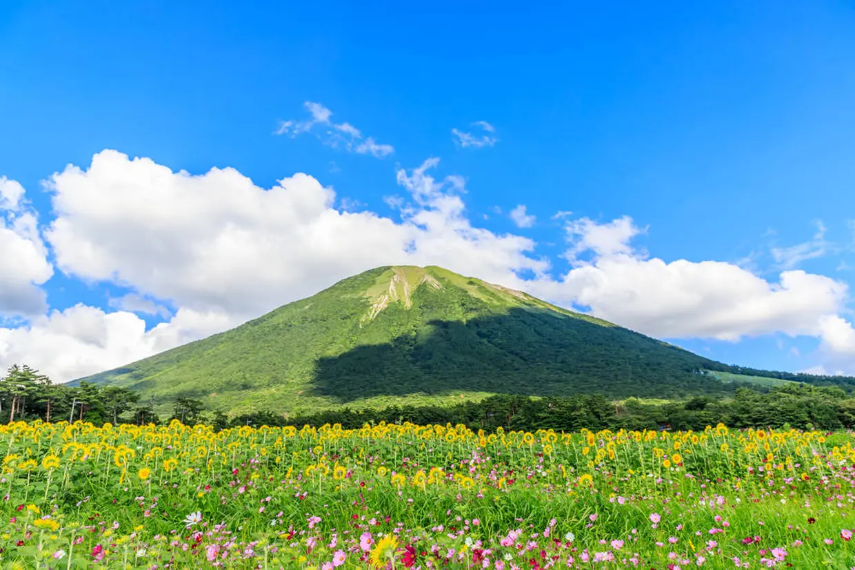 大山まきばみるくの里