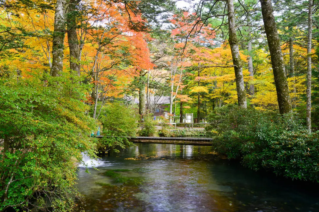 さかなと森の観察園