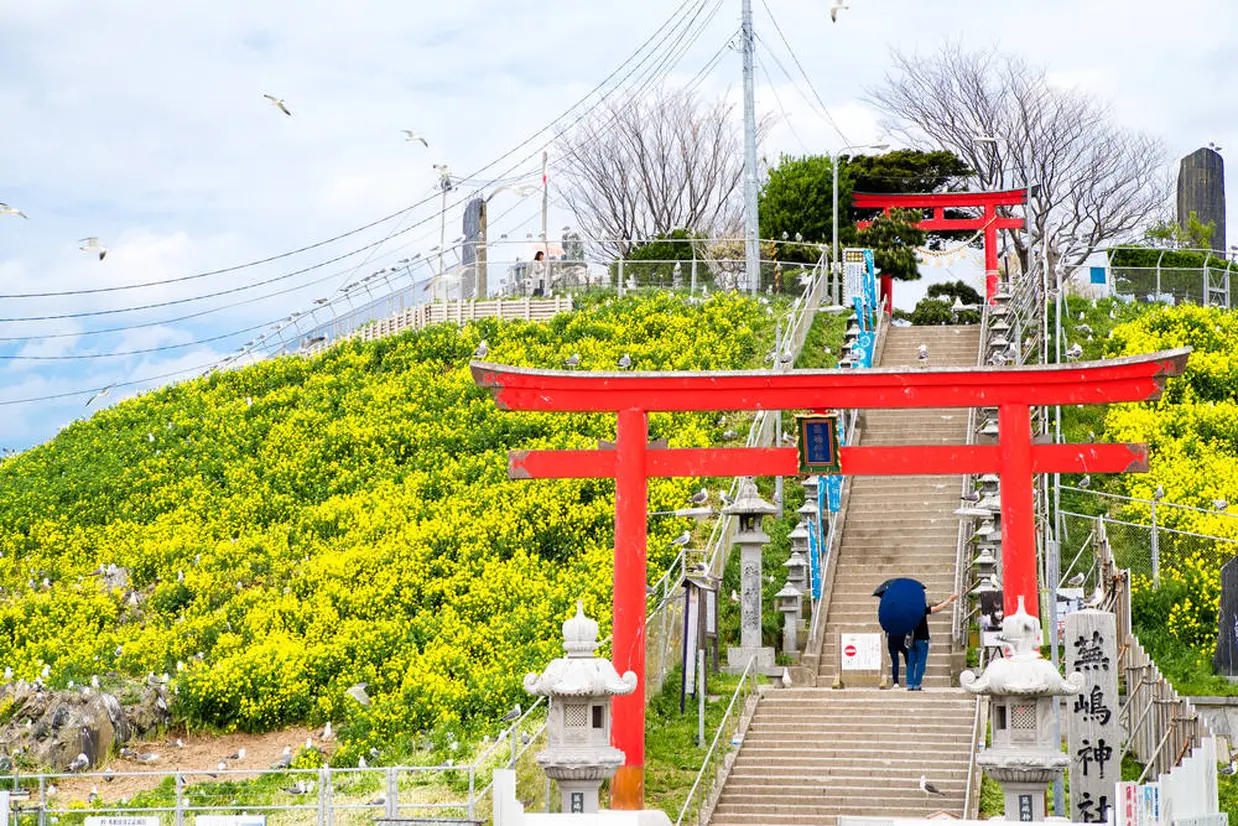 蕪島