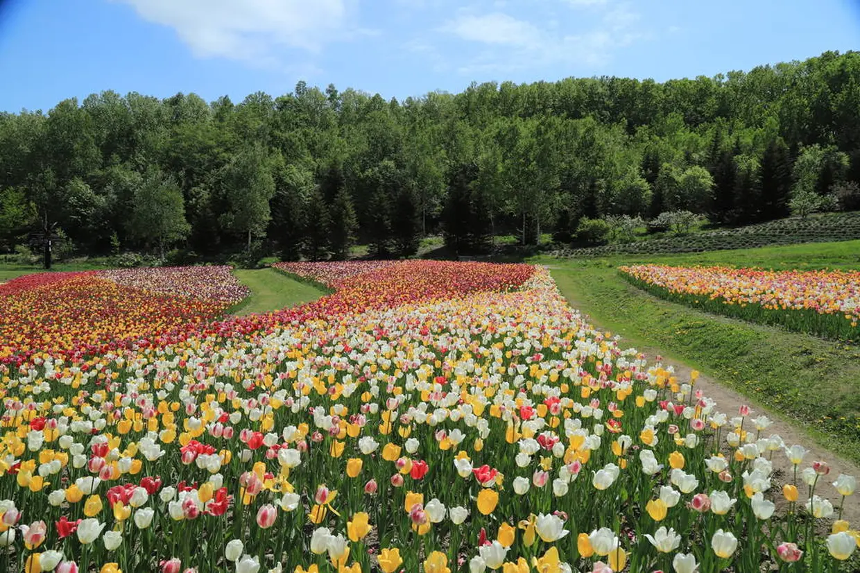 国営滝野すずらん丘陵公園