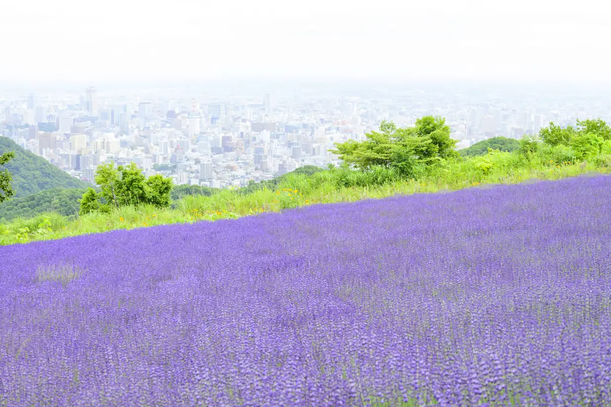 幌見峠