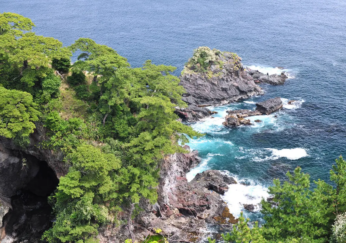 錦ヶ浦