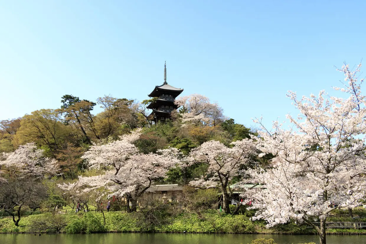 三渓園