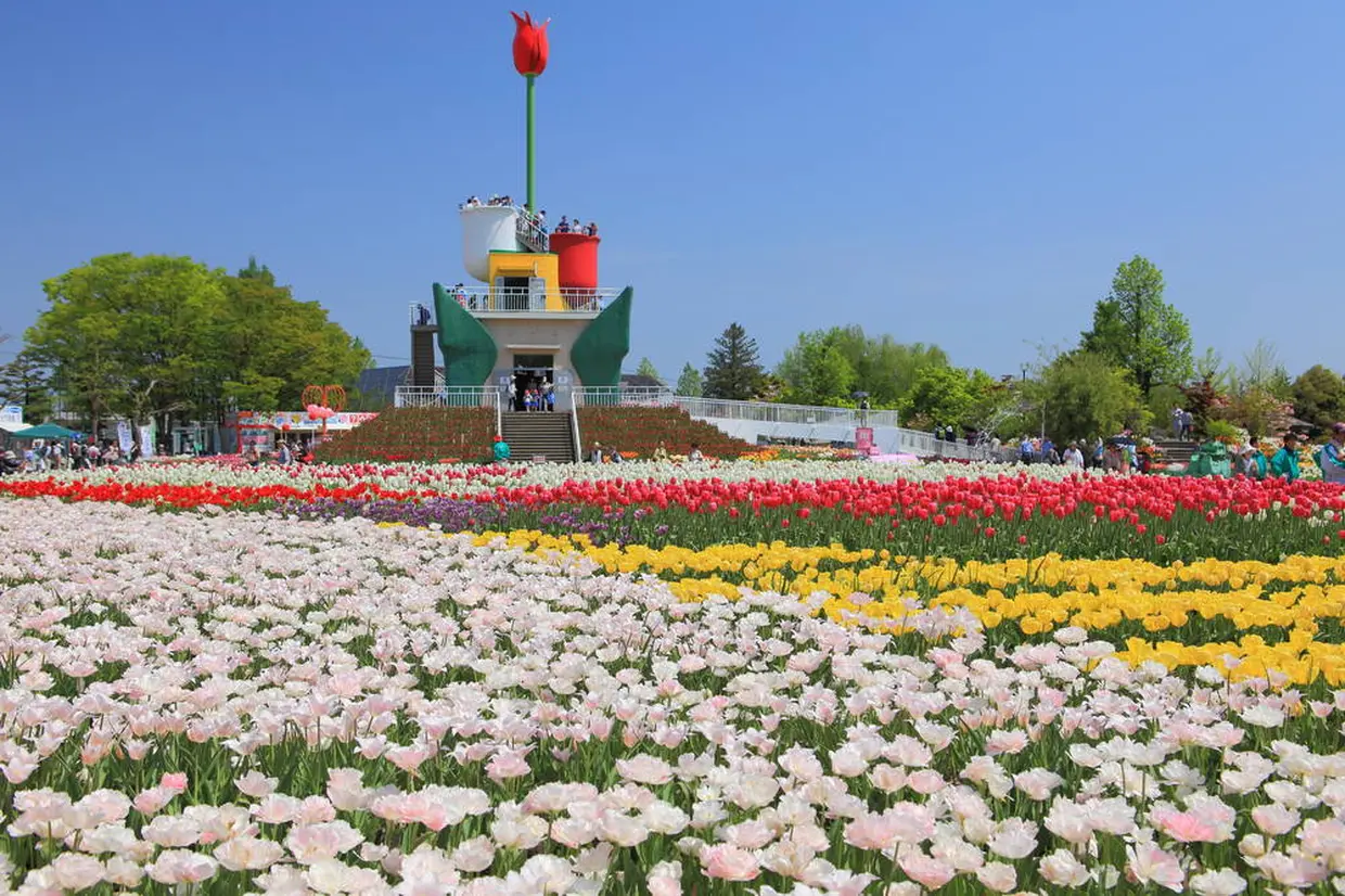 砺波チューリップ公園