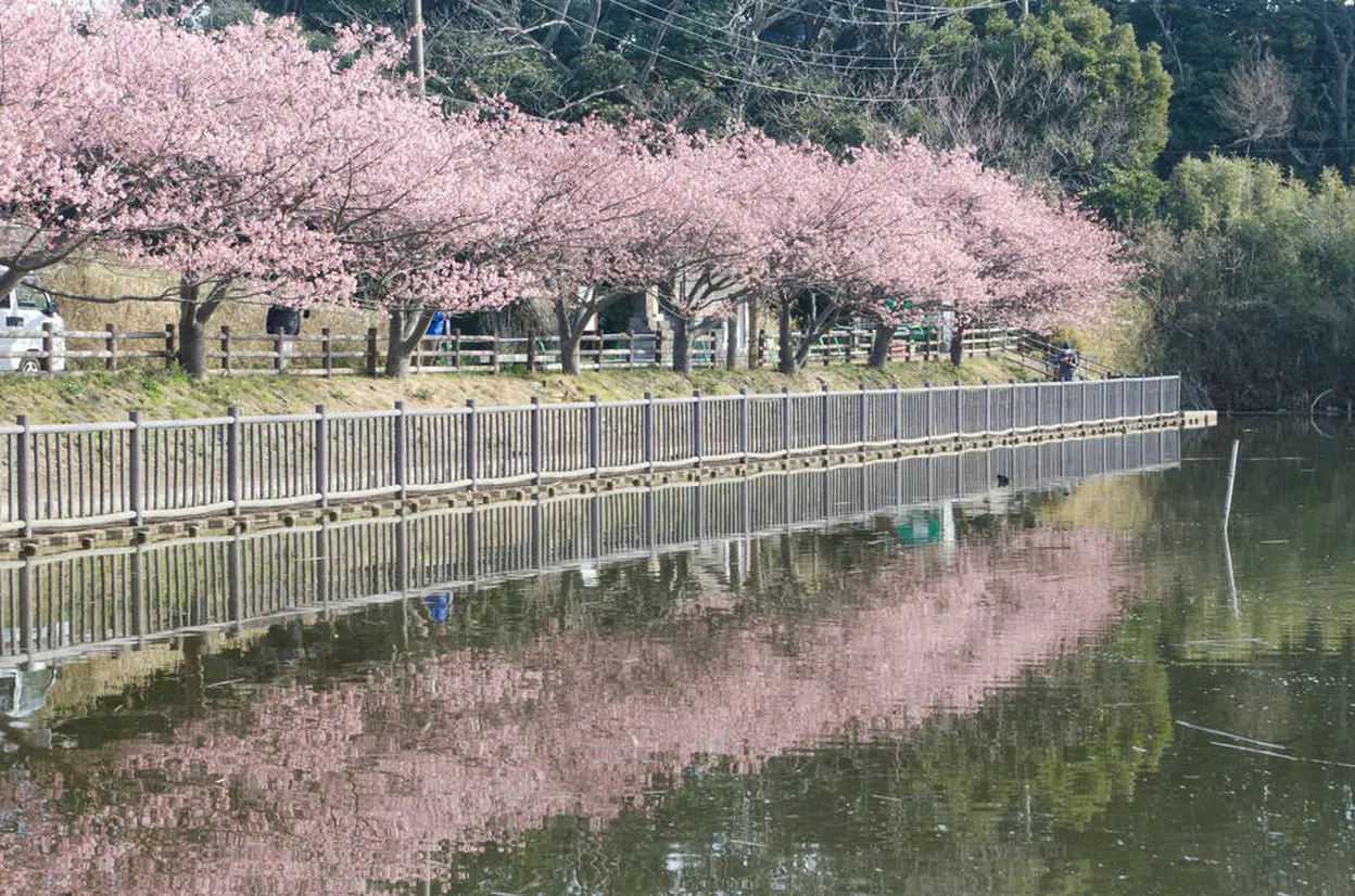 小松ヶ池公園