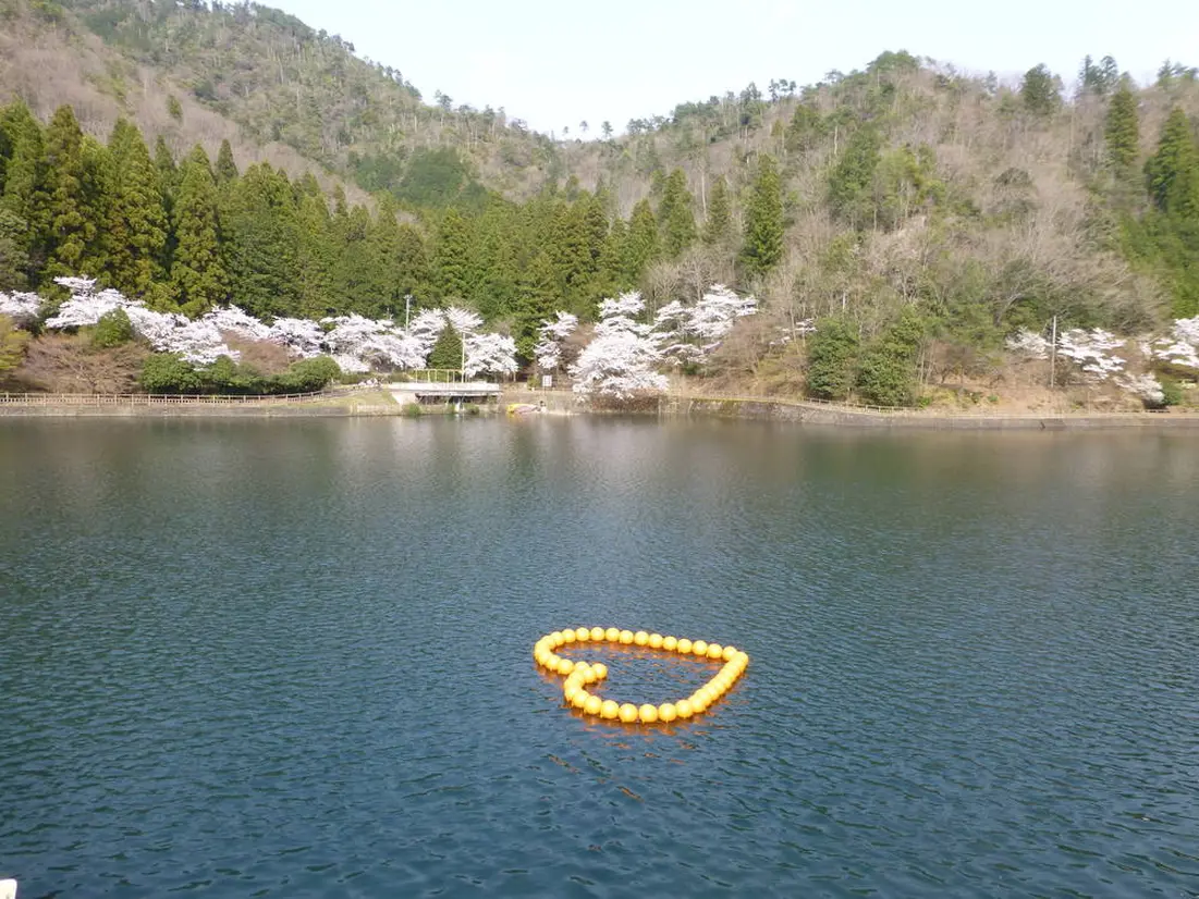 伊自良湖