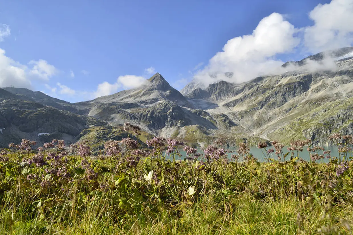 Copyright: Österreich Werbung, Photographer: Reinhold Leitner 