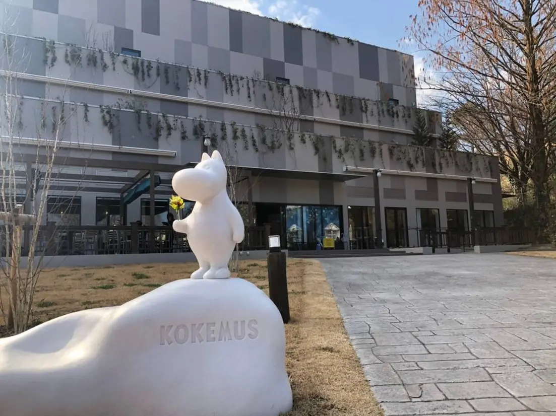 KOKEMUS