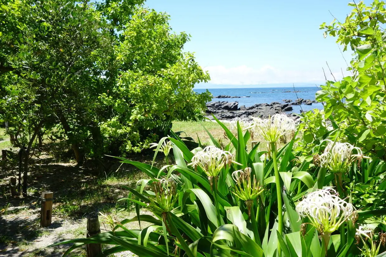 天神島臨海自然教育園