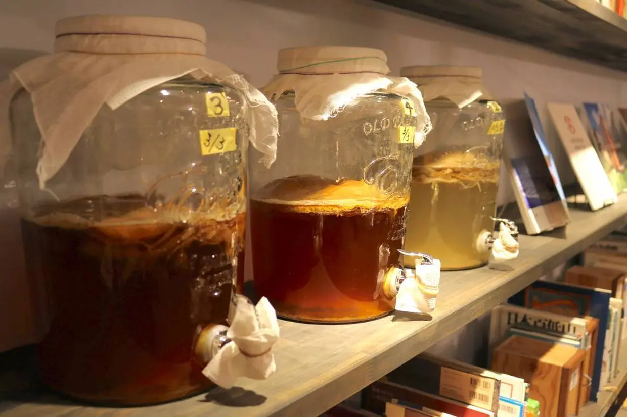 KOMBUCHA