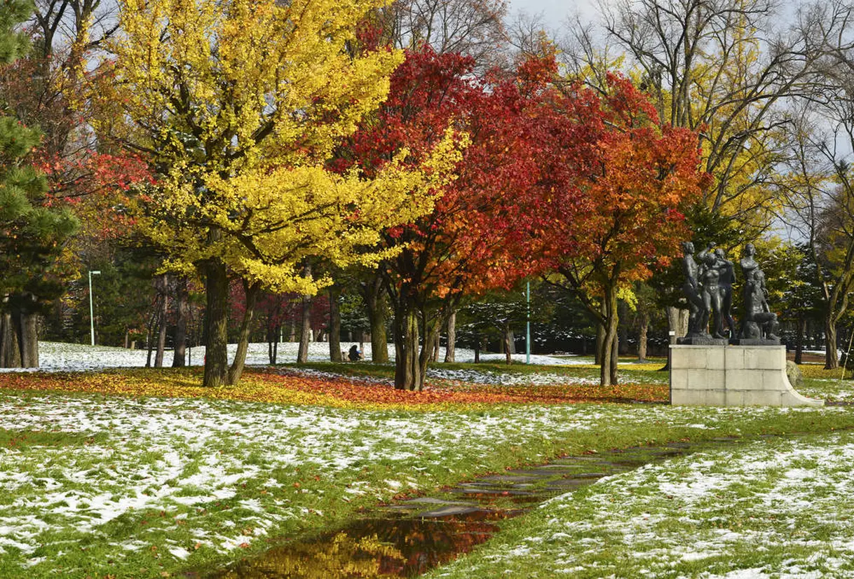 常盤公園　紅葉