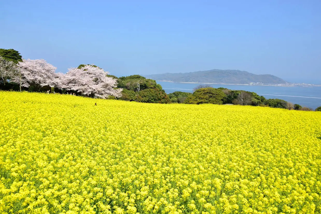 能古島
