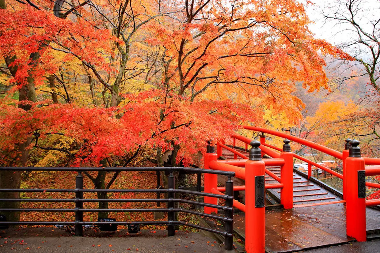 河鹿橋
