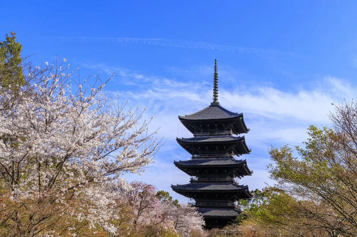 教王護国寺