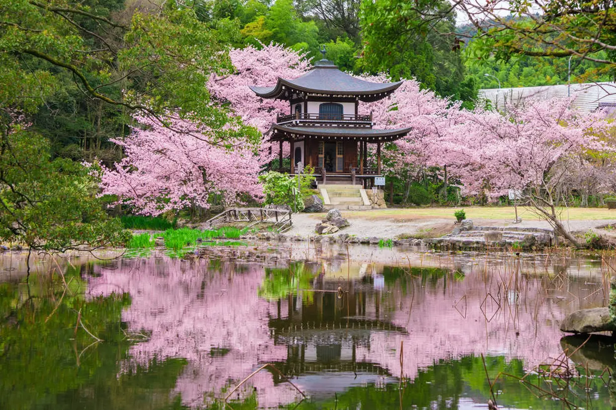 勧修寺