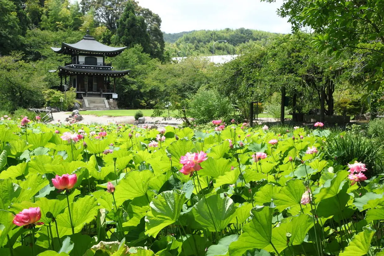 観修寺