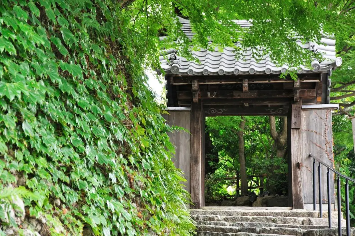善福寺
