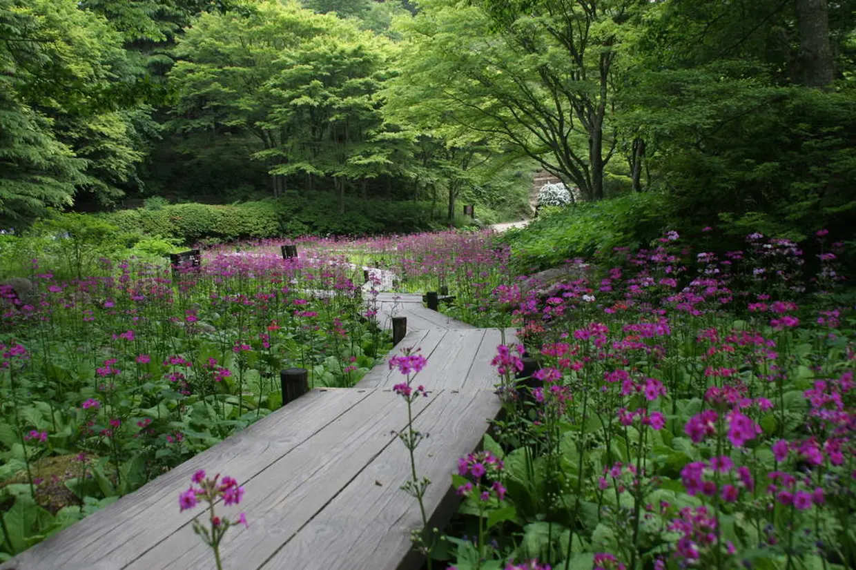 六甲高山植物園