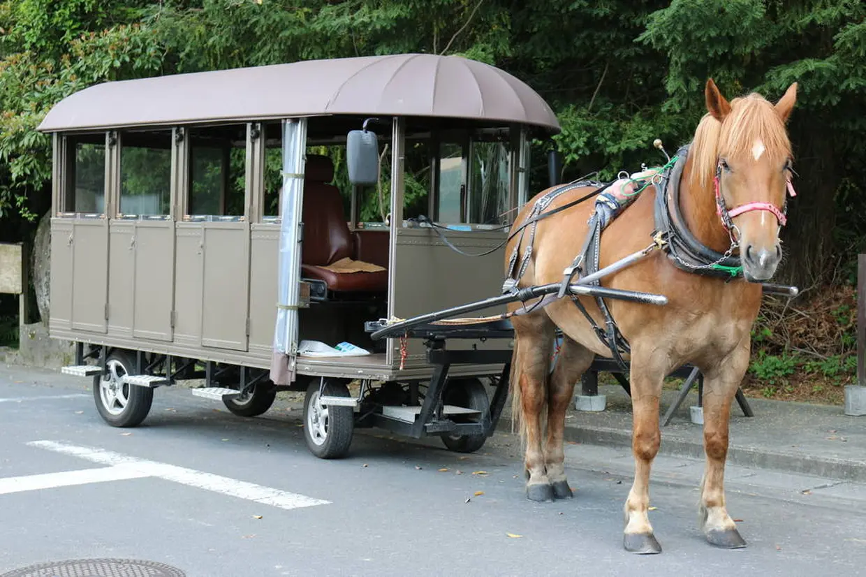 辻馬車