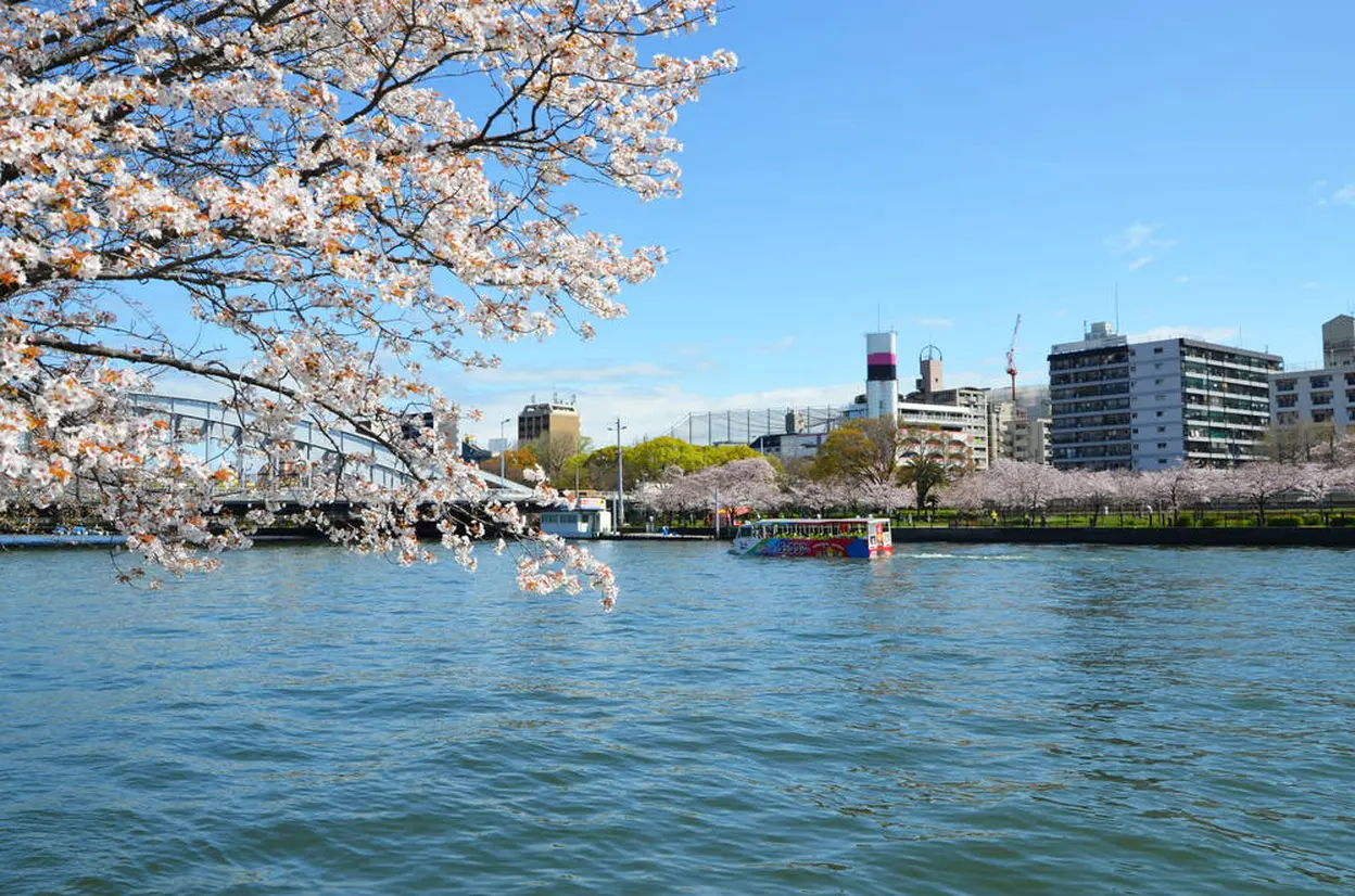 ダックツアー