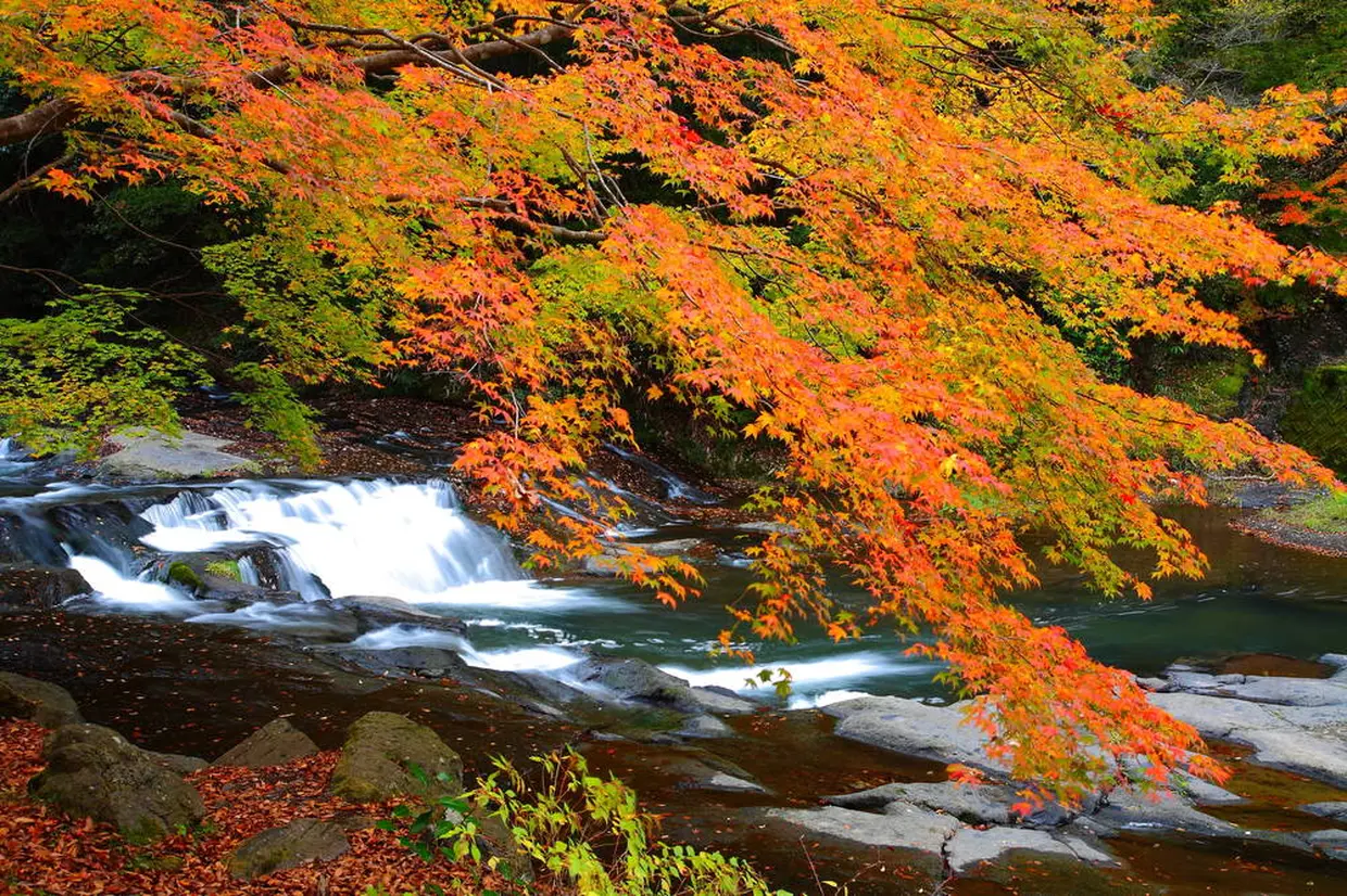 遊水峡