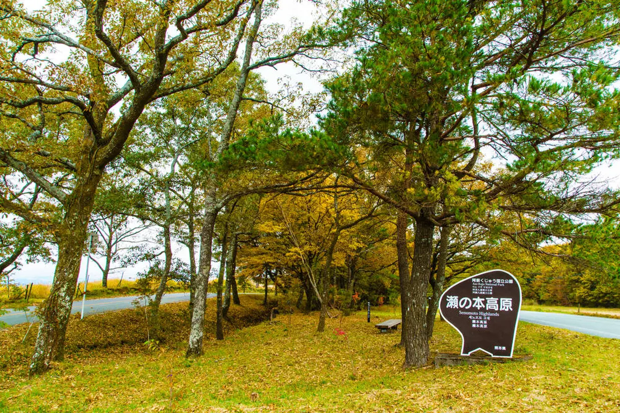 瀬の本高原